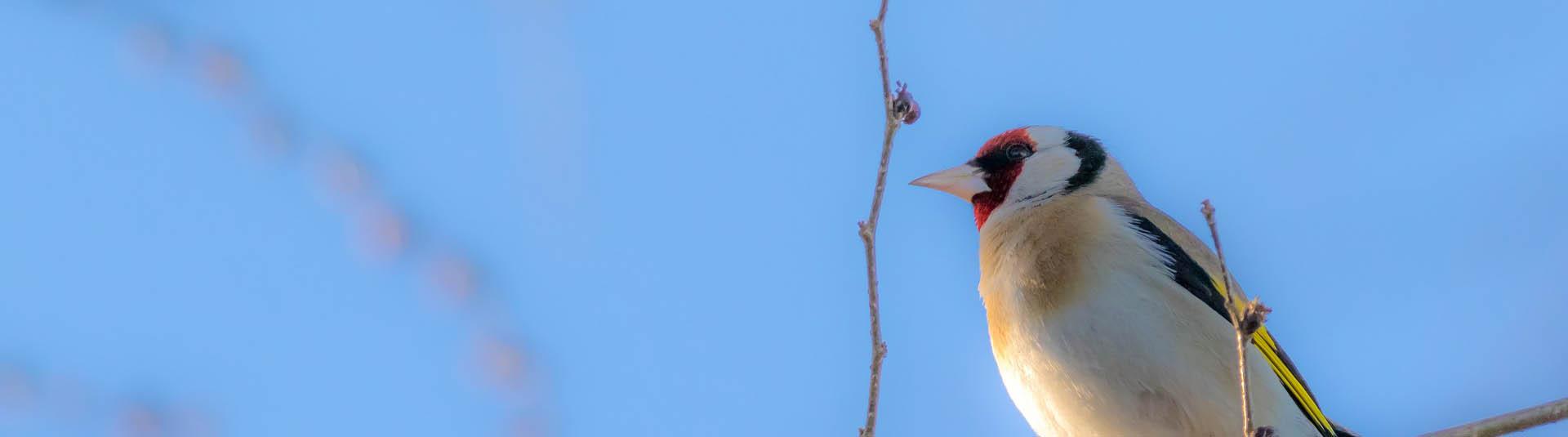 Feriendialyse Cartaya