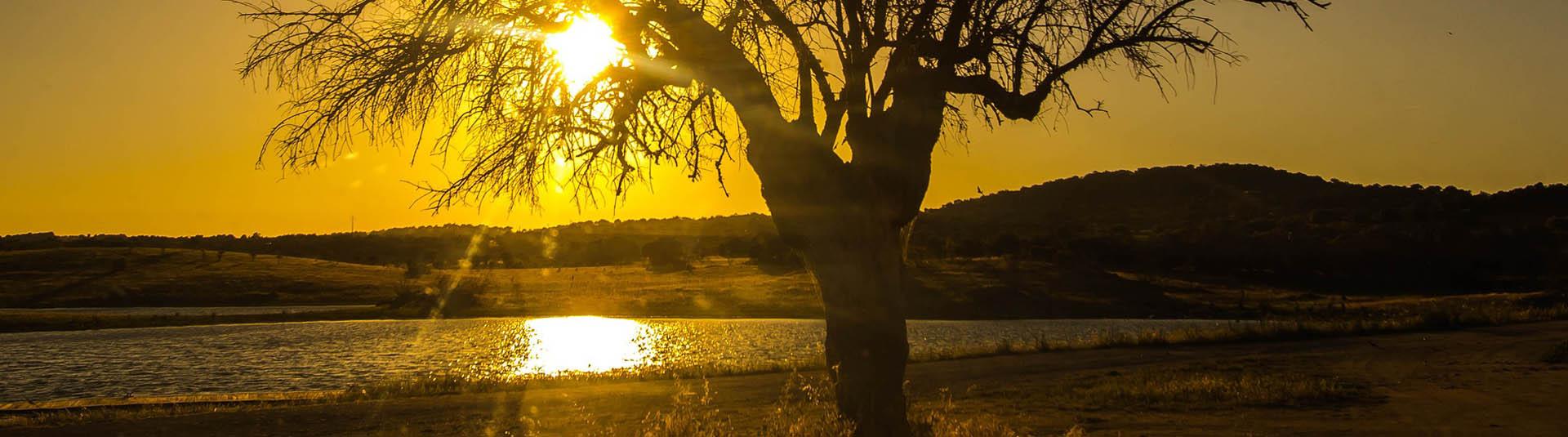Feriendialyse Linda-a-Velha