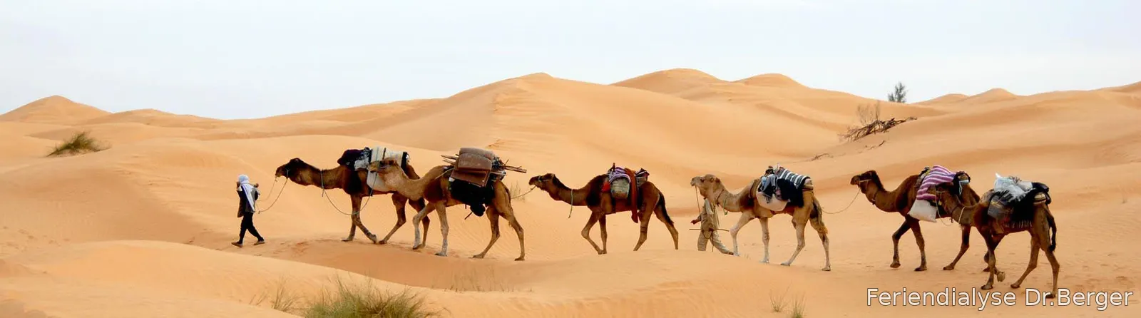 Djerba Bild 7